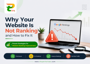 Website Ranking Improvement